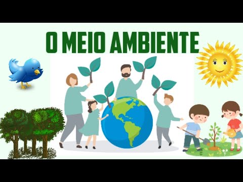🏝🌏O MEIO AMBIENTE🌎 🏝 |VÍDEO EDUCATIVO |ALFABETIZAÇÃO INFANTIL