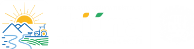 Central de Serviços Online